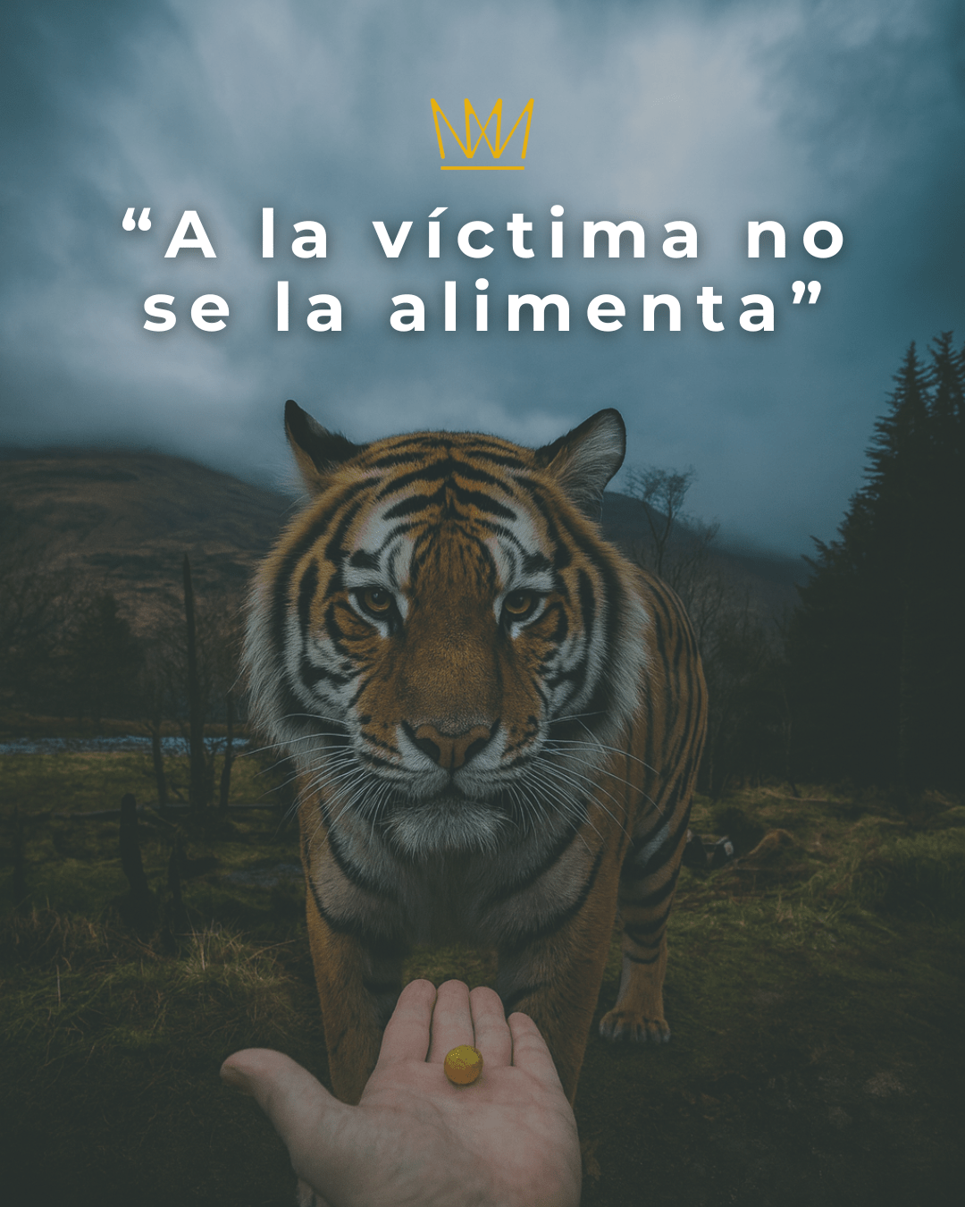 A la víctima no se la alimenta